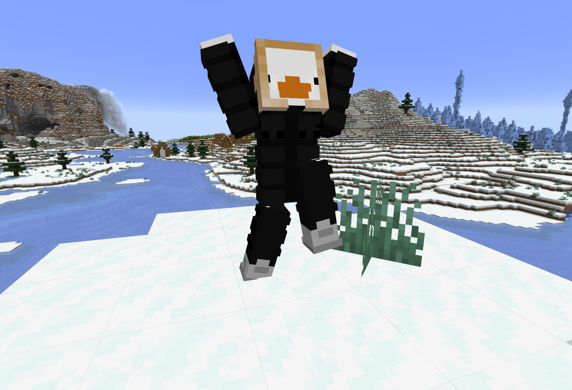 Скин на заказ